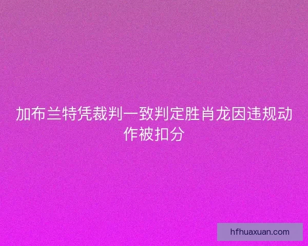 加布兰特凭裁判一致判定胜肖龙因违规动作被扣分